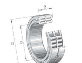 INA SL014876 roller bearings